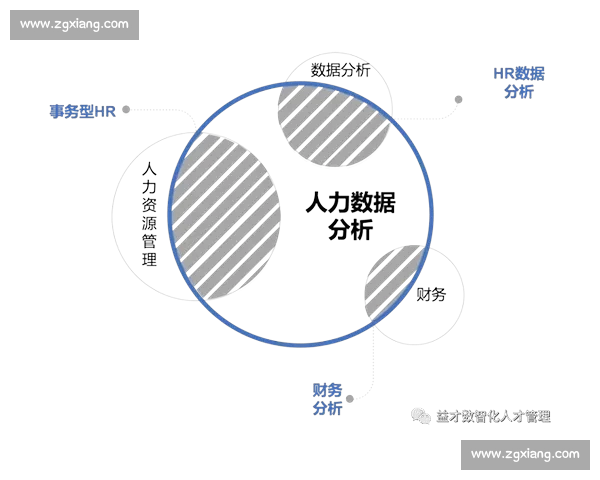 基于全面数据分析的球队表现评估与战略优化研究